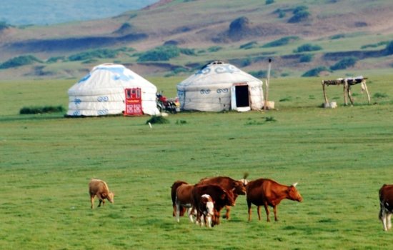 Mongolia
