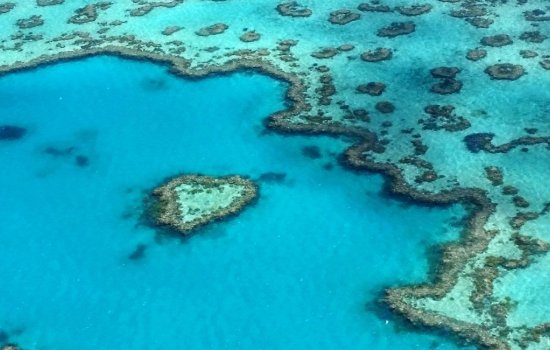 Oceania Holidays
