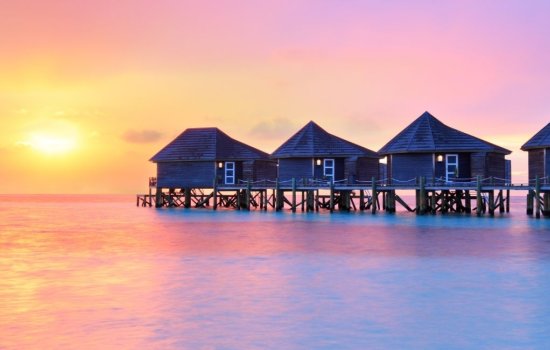 Honeymoons