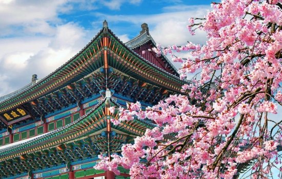 South Korea Holidays