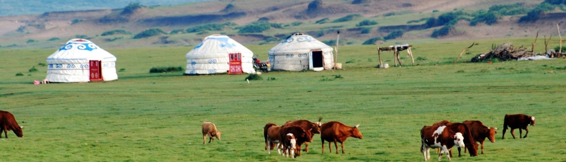 Mongolia Holidays