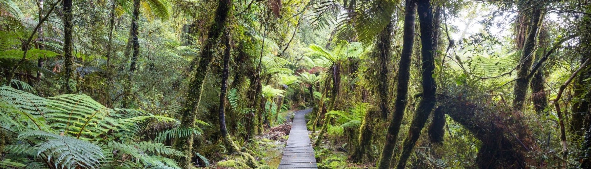 New Zealand Holidays