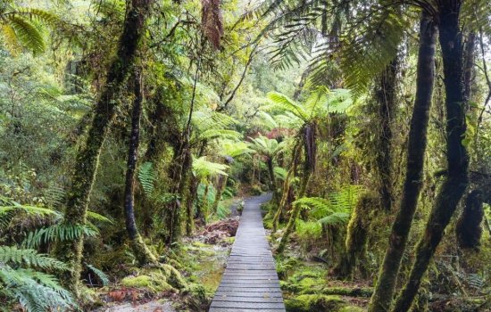 New Zealand Holidays