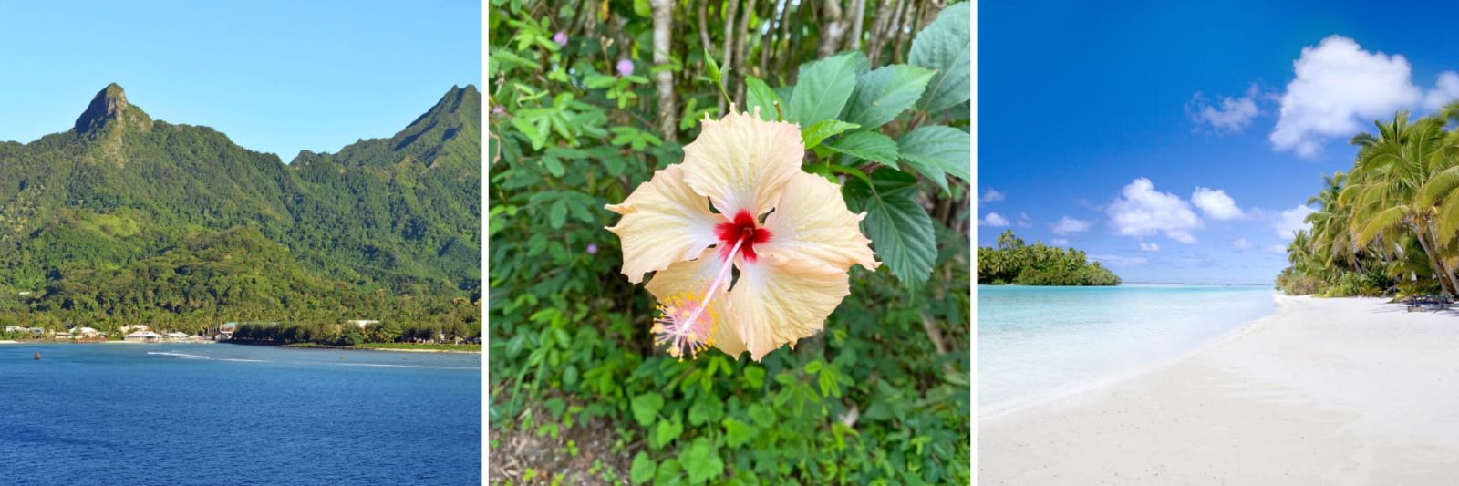 Cook Islands Holidays