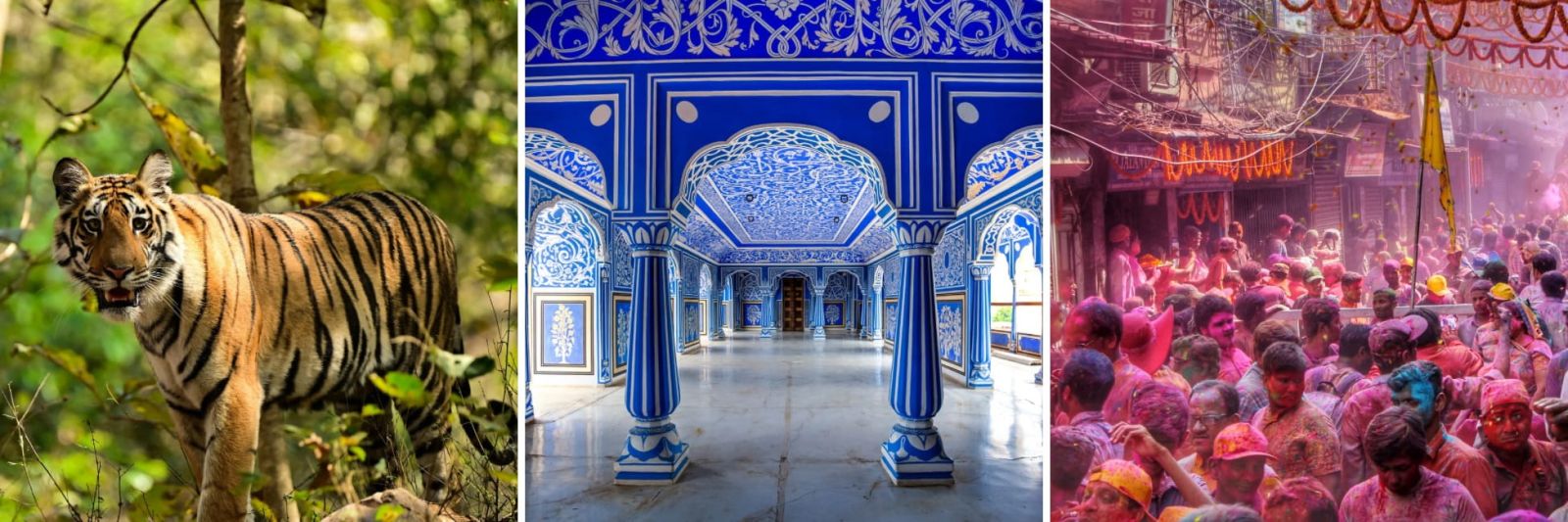 India Holidays