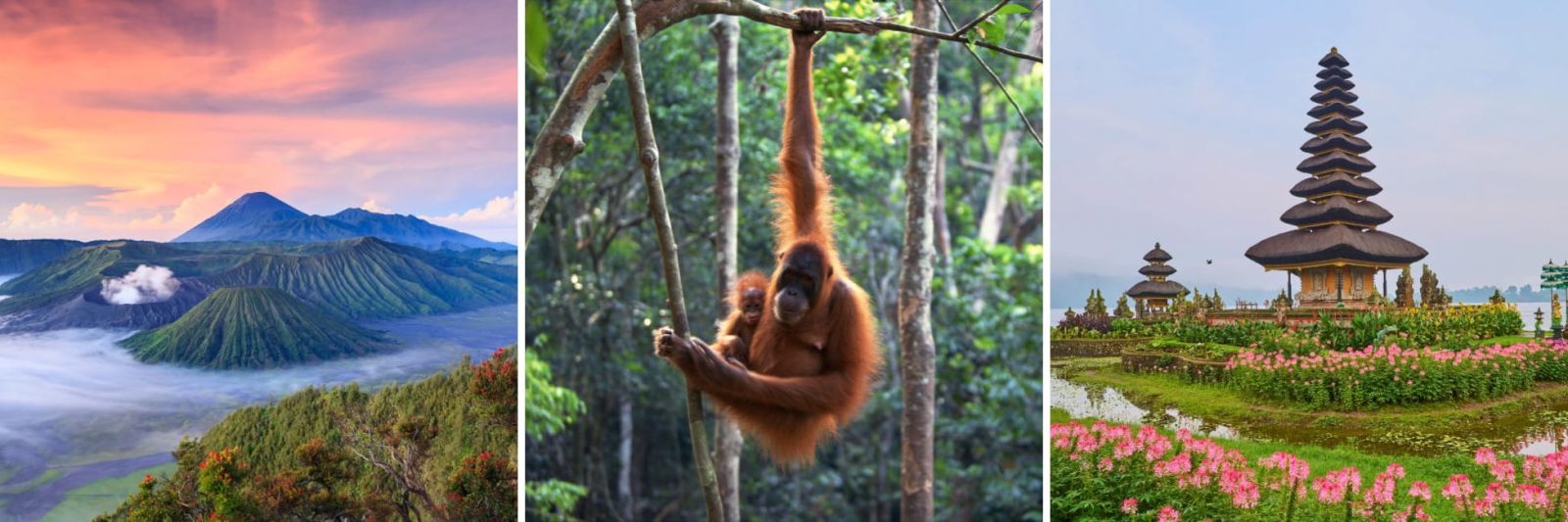 Indonesia Holidays