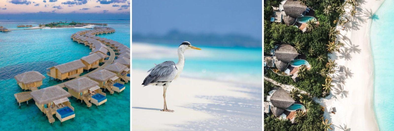 Maldives Holidays