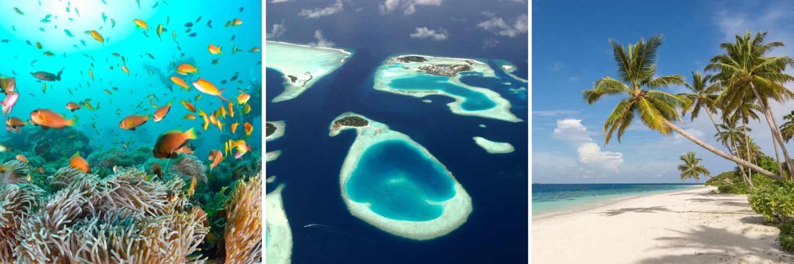 Maldives Holidays