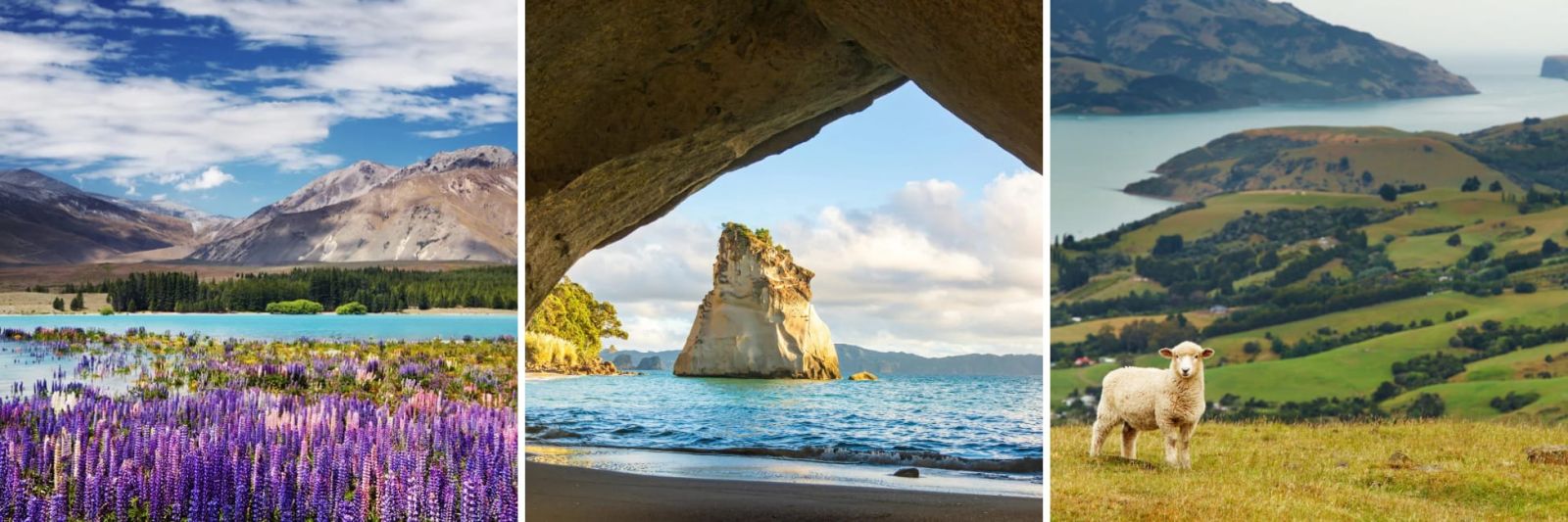 New Zealand Holidays