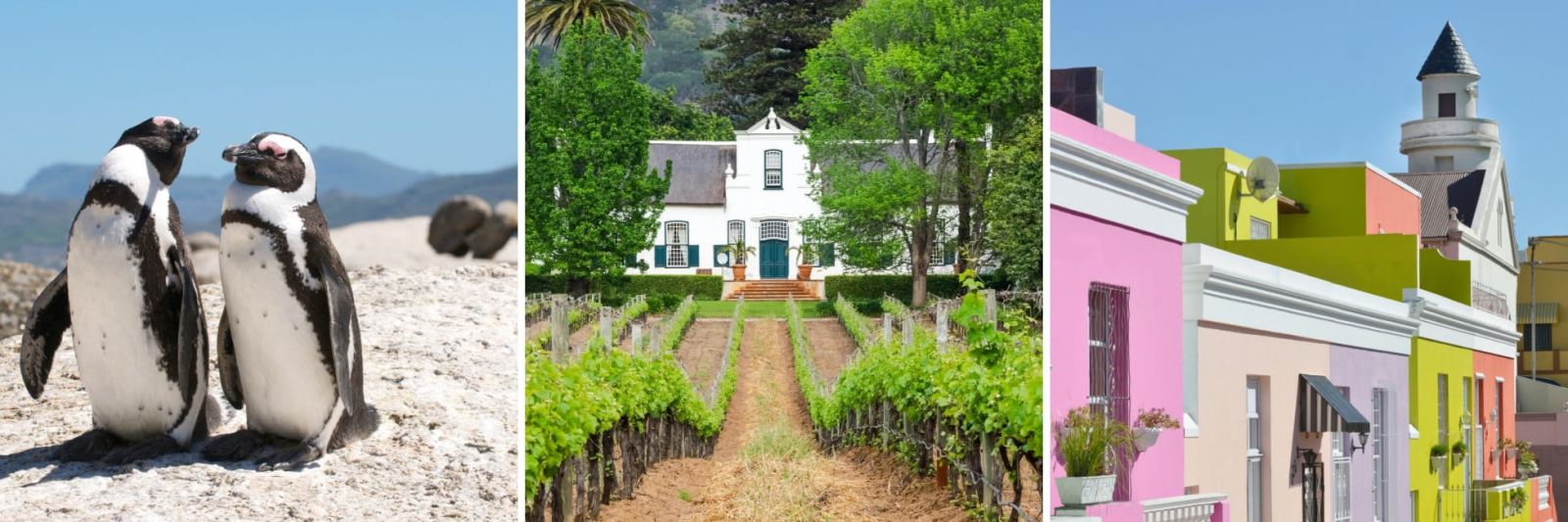 South Africa Holidays